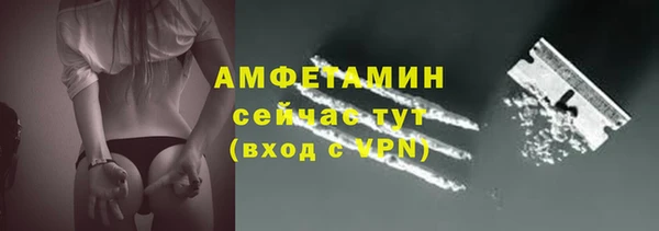 Альфа ПВП Верея