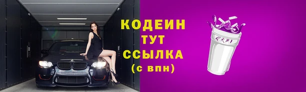 Альфа ПВП Верея
