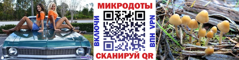 Псилоцибиновые грибы мухоморы Киренск